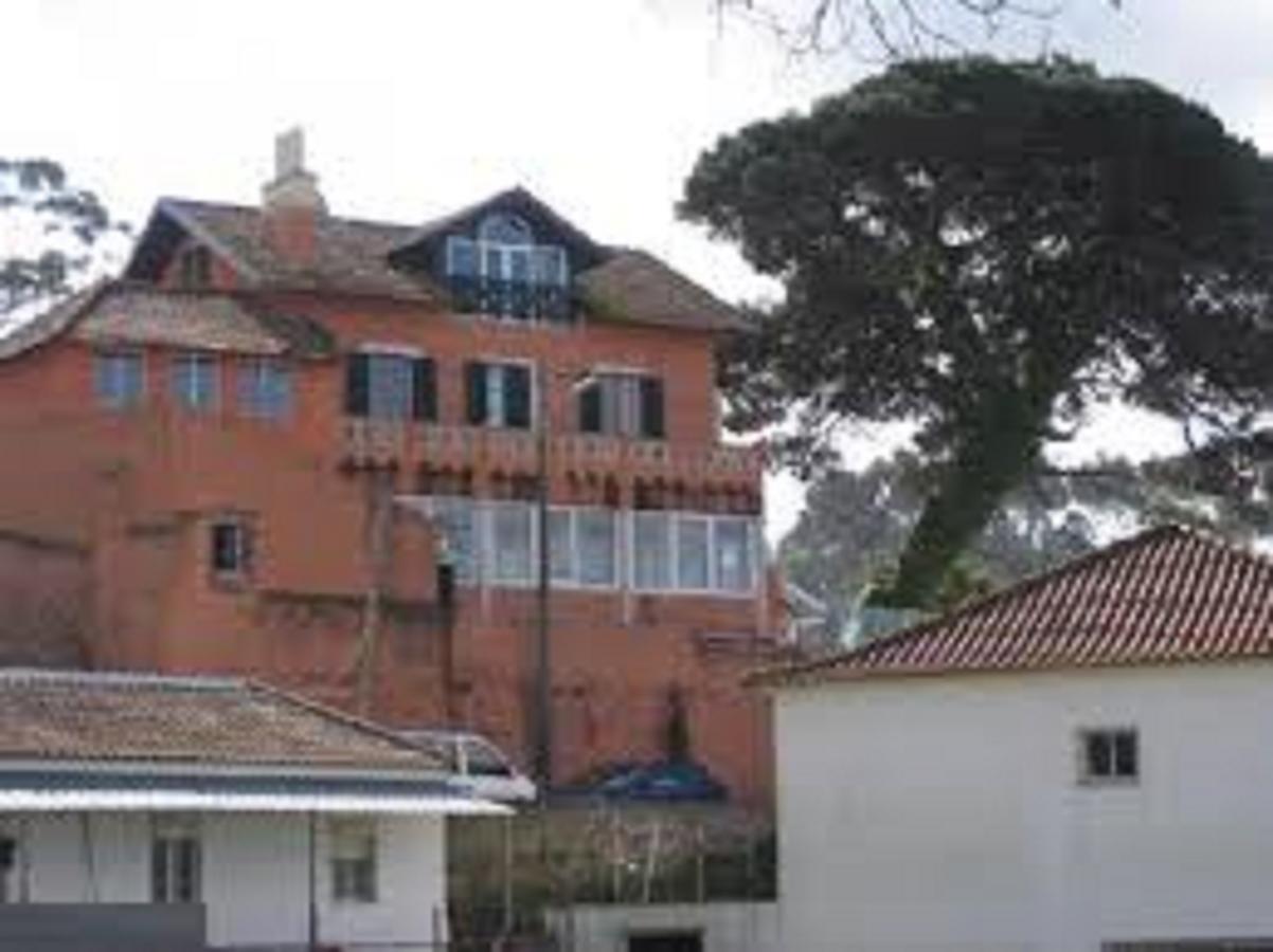 Shepinetree - Pinheira Vale de Lobos Exterior foto
