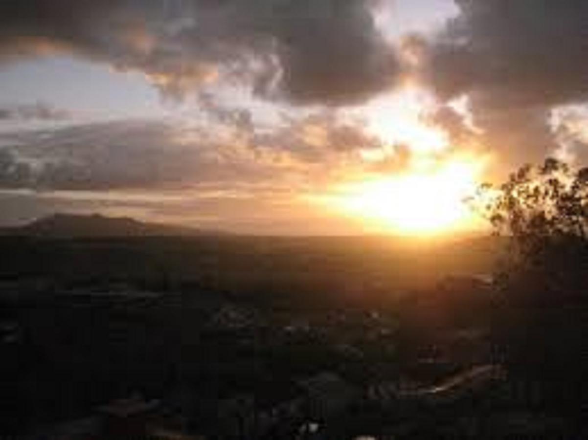 Shepinetree - Pinheira Vale de Lobos Exterior foto