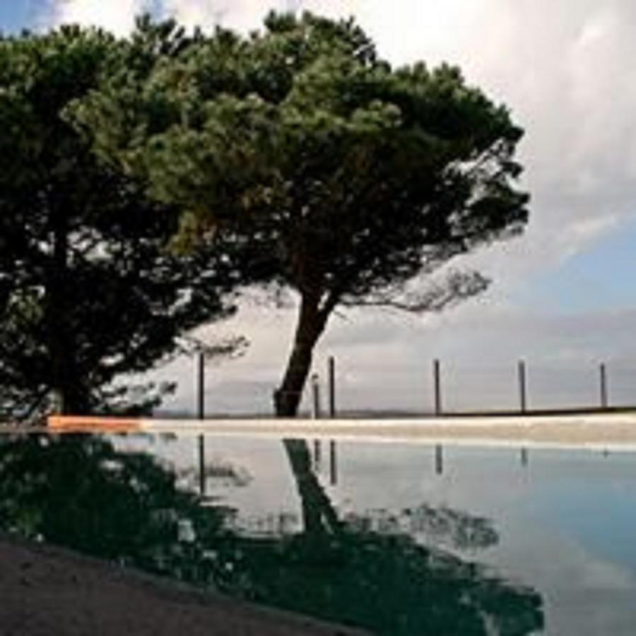 Shepinetree - Pinheira Vale de Lobos Exterior foto